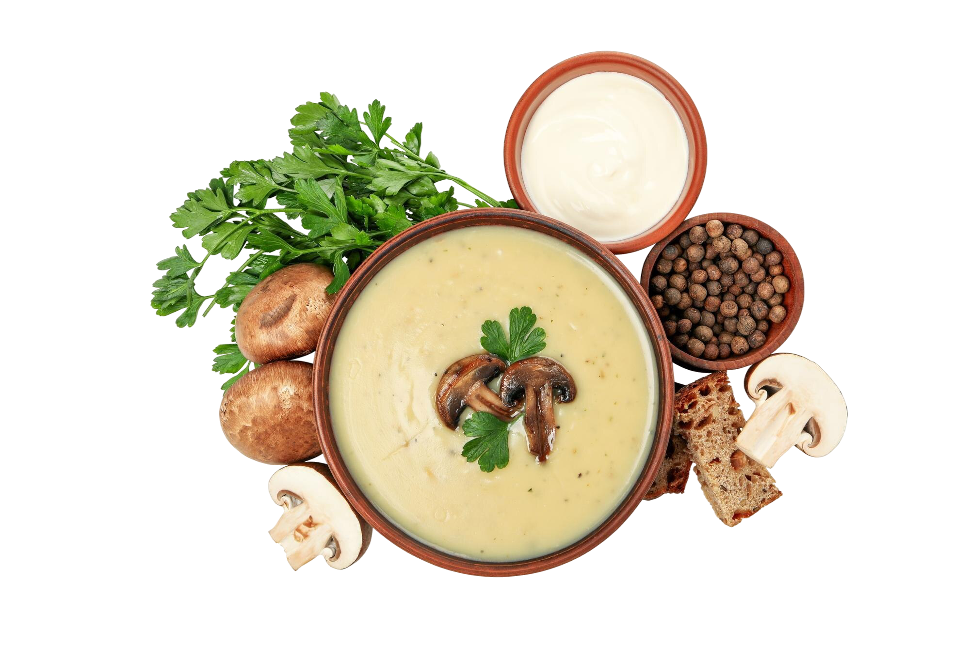 Soup mixes, seasonings, and coatings