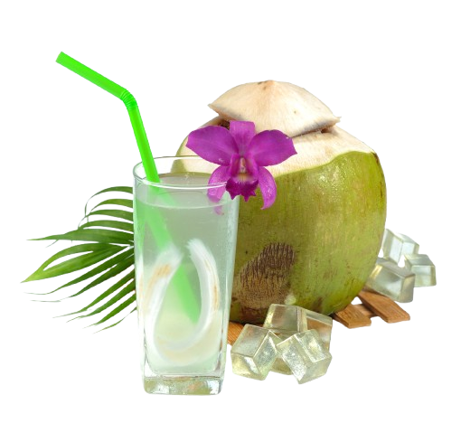 Coconut-flavoured health drinks