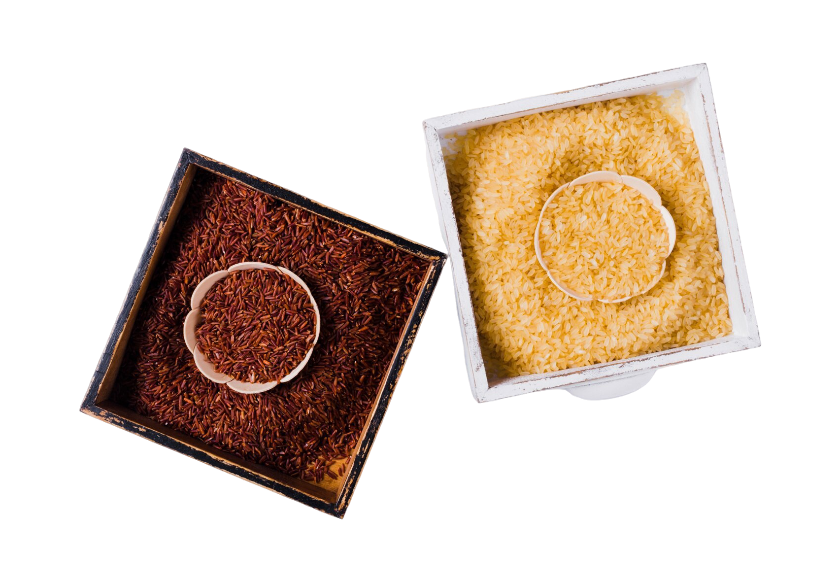 Vending machine powders