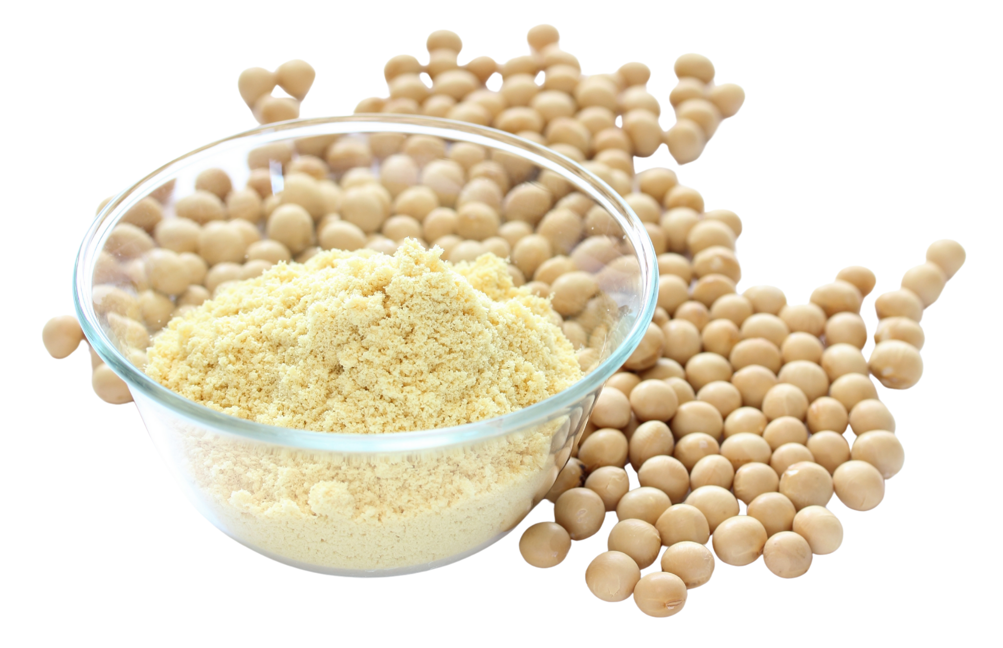 Meal replacements and fortified milk analogues