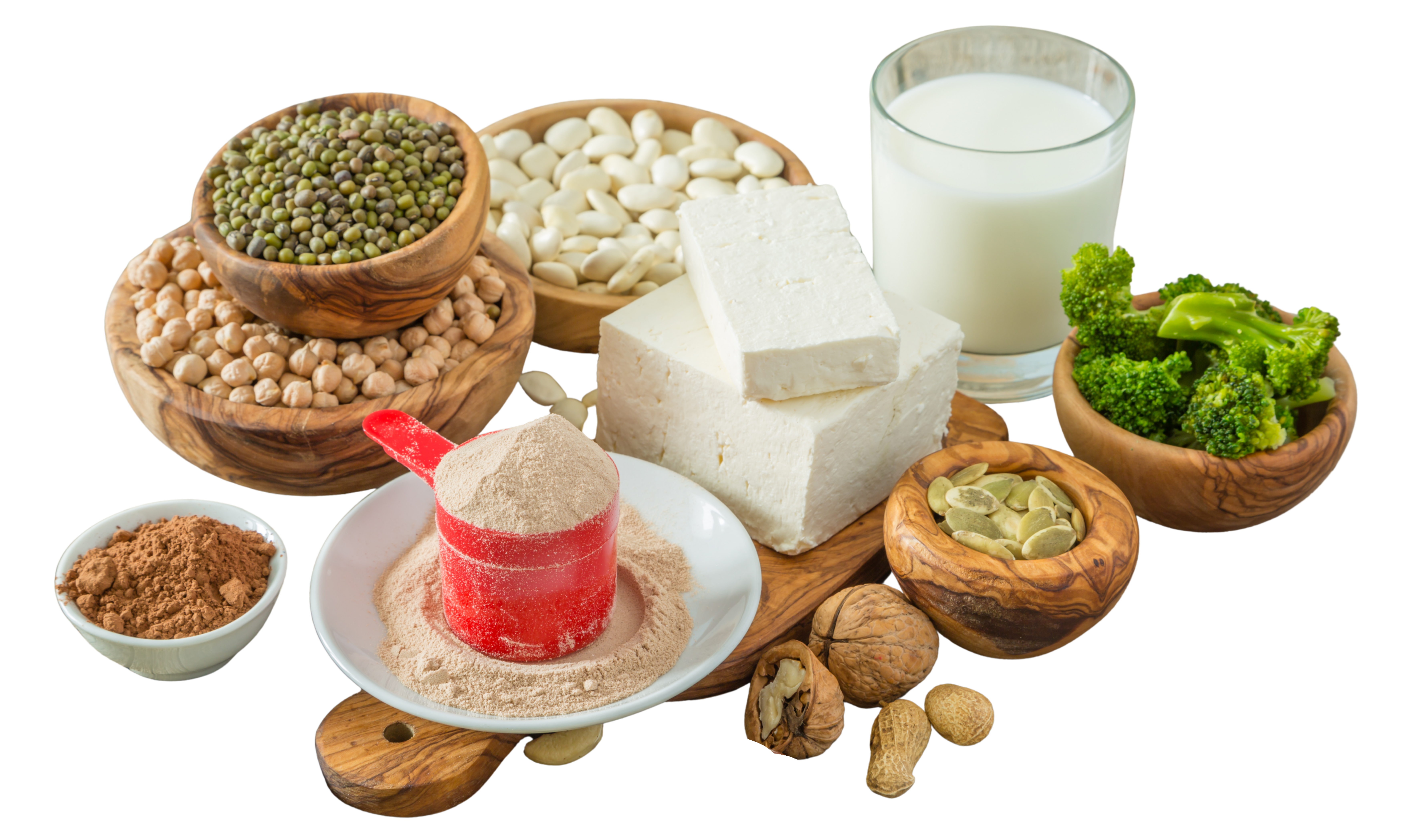 Processed meat, plant protein, and analog products