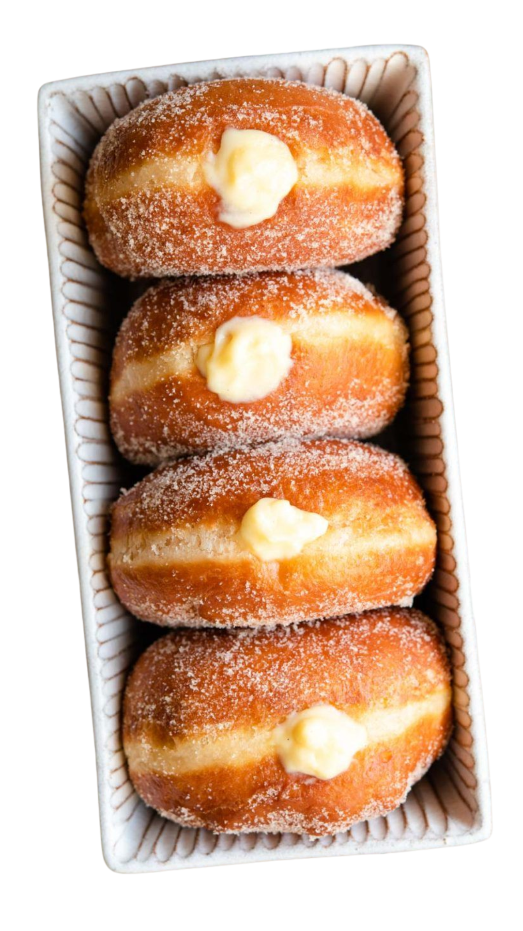 Fat Powder 28 to 80%