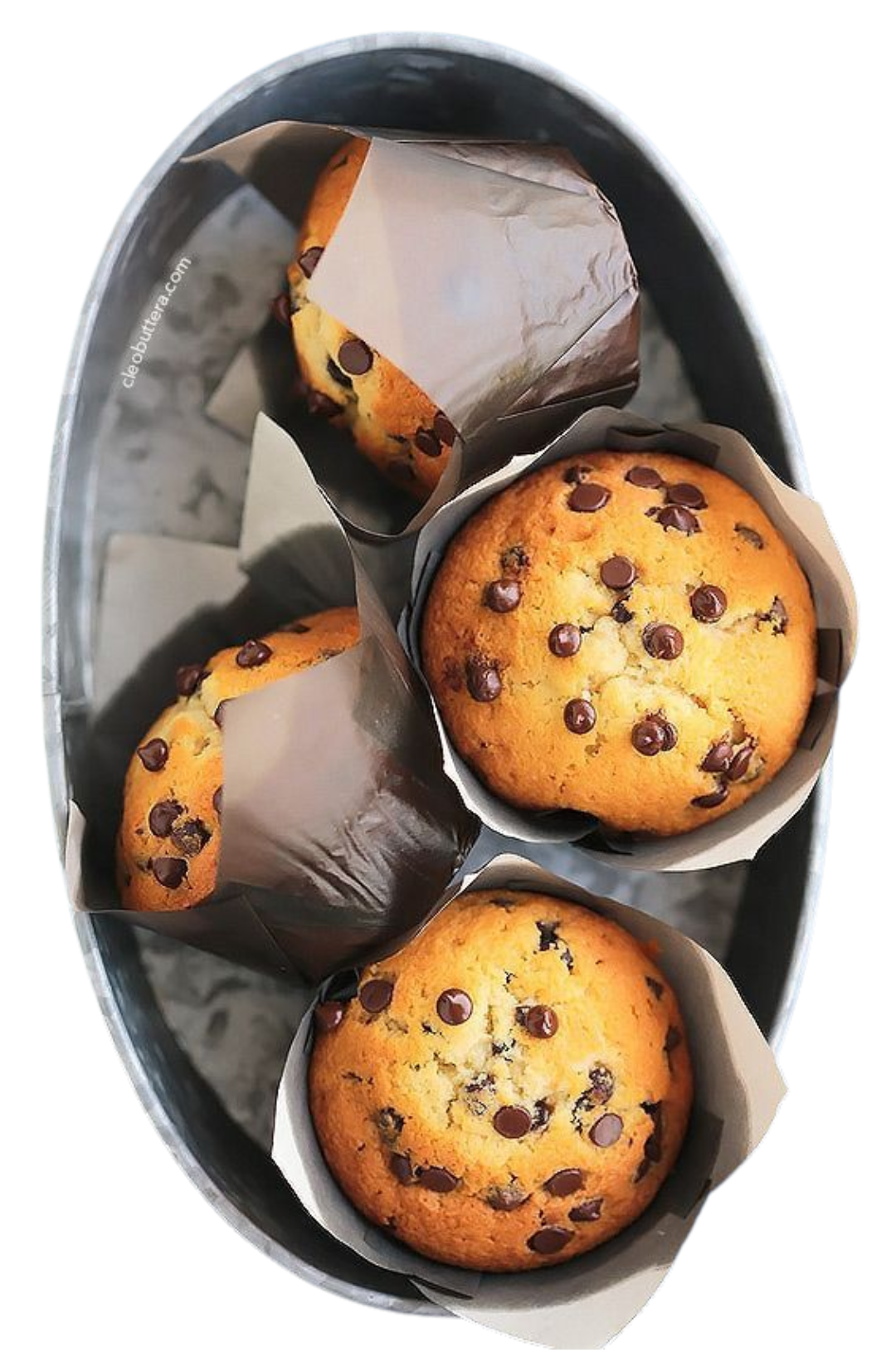 Fat-Filled Milk Powder