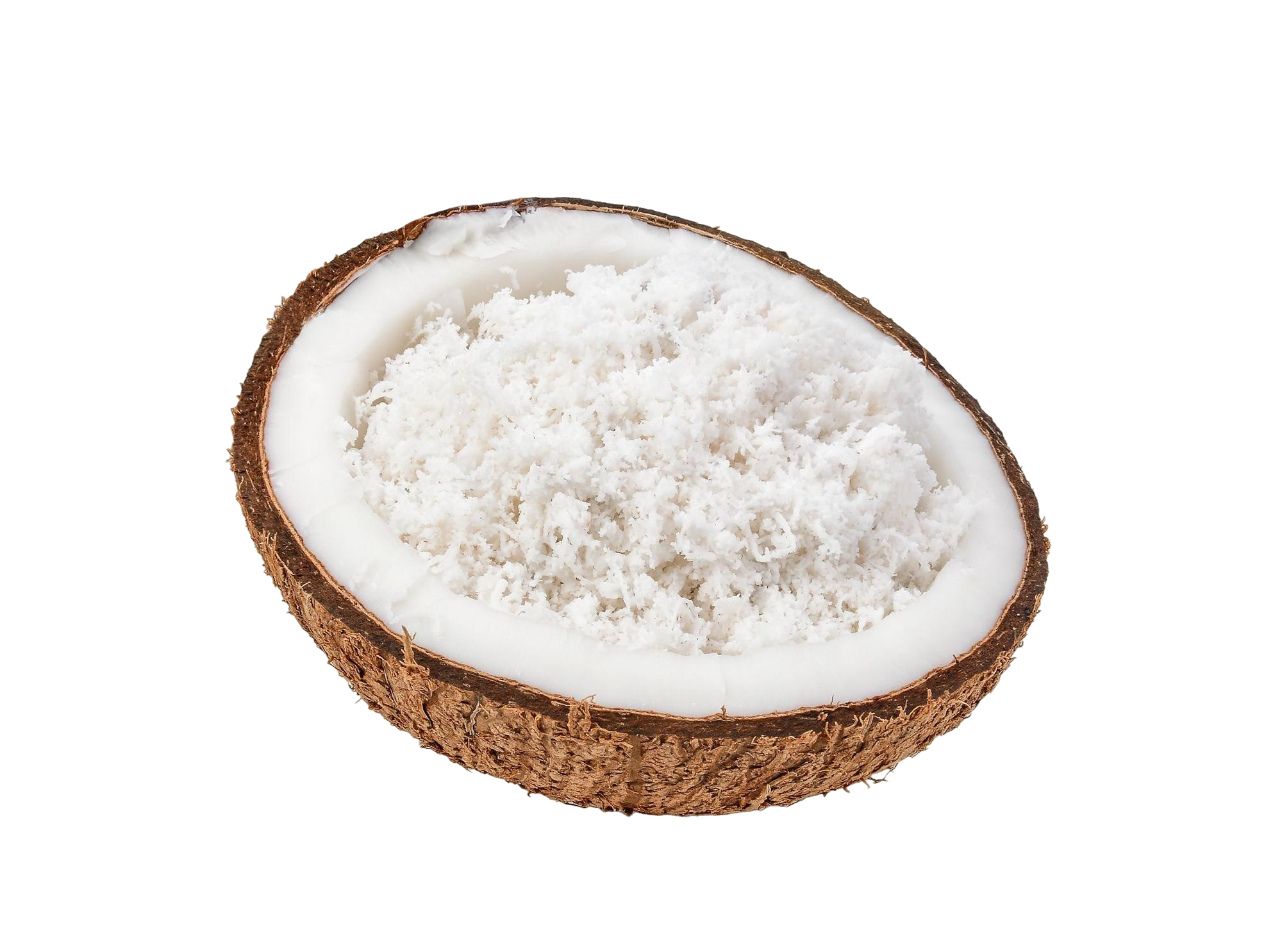 Coconut Fat Powder